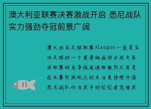 澳大利亚联赛决赛激战开启 悉尼战队实力强劲夺冠前景广阔