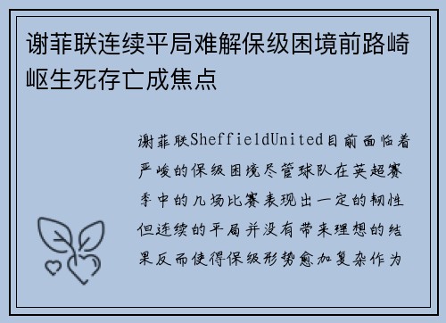 谢菲联连续平局难解保级困境前路崎岖生死存亡成焦点